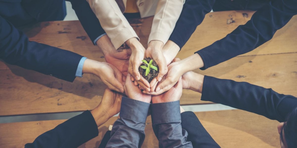 Экологические коллективы и сертификация: два взаимодополняющих рычага для перехода